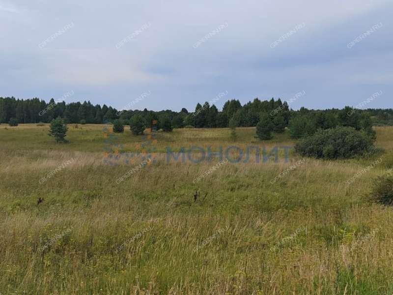 земельный участок 1 090 соток - деревня Ионовка